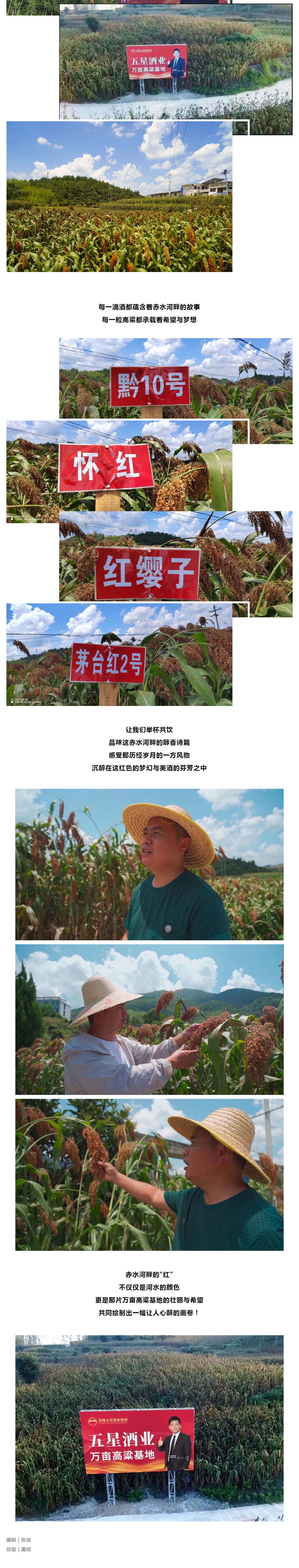 赤水河畔最醉人的“红”_壹伴长图3.jpg
